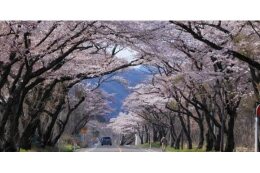 秋保・広瀬・大沢・根白石地域活性化サポーター