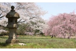 (2) 心も暮らしも豊かなみらいをつくるみんなが育つまちに係る事業
