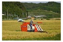 ４　地域の特性を活かした、産業や交流が盛んなまちを創るために