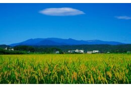 地域産業の振興に関する事業