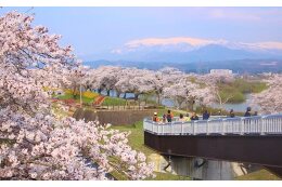 1　桜のまちづくりに関する事業