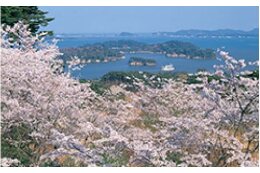⑦その他魅力あるまちづくりを推進するため必要と認められる事業