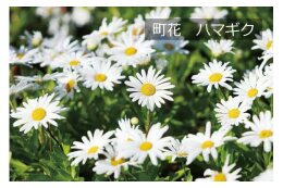町長にお任せ