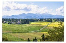 1. 産業のさらなる振興で活力のあるまちを創るために