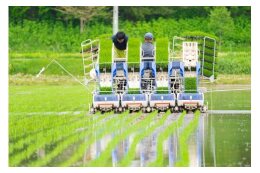 活気あるまちづくり事業
