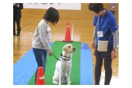 動物愛護を支援したい
