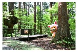 ふるさとの自然、景観を活かした事業