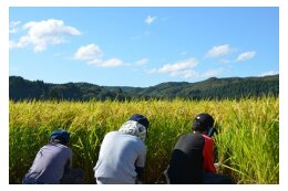 豊かな恵みを活かした交流を通じて人々が元気になる事業