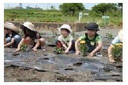(3)環境の保護・保全に関する事業