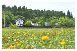 3. 歴史的建造物の保存と利活用のために