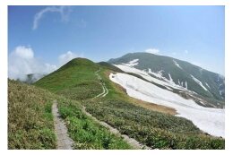 (2)都市と地方の格差の解消に関する事業分野