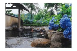 ○福祉の向上に関する事業