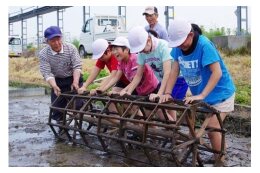 ⑤力を合わせ参画する潤いのあるまちづくりに関する分野（その他全般）