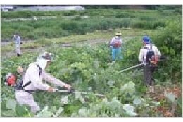 ⑤「元気な地域づくり」～町民協働の地域活動支援～