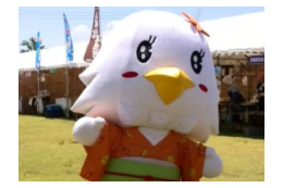 7.その他（とにかく！しらたか応援事業）