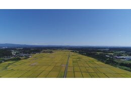産業の振興
