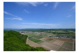 5.人が未来に向かって夢を育めるまちづくり事業