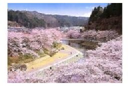 (2)町の資源(桜、鉱物、自由民権史跡)の整備、保存に関する事業