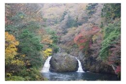 ②自然環境の保全及び緑化に資する事業