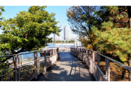 2 安全で住みやすさを実感できるまちづくり(都市・環境)
