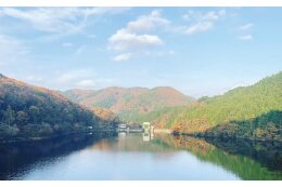 3.ふるさとの自然環境の保全に関する事業 