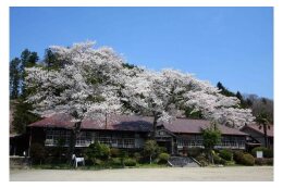 （５）健やかな心身をはぐくむ　スポーツ及び文化活動の向上に関する事業 