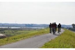 ふるさとの自然環境保全に関する事業