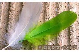 ⑤その他町長が必要と認める事業