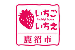 その他（鹿沼市におまかせください）