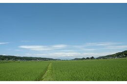 自然環境及び地域景観の保全及び活用のため