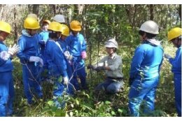 ぐんま緑の県民基金(ぐんま緑の県民基金積立)