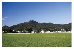 ２１. 金山再生プロジェクトの事業応援※返礼品なしの場合のみ選択可能