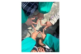 1.指定しない（自治体におまかせ）