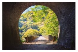 10.寄附者の指定による事業