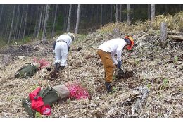 ③自然エネルギーの利用と地球温暖化防止に関する事業