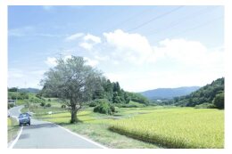 (6) 使途は指定しない