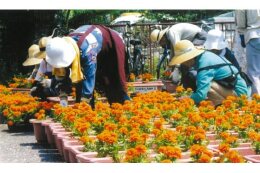 くまがや市民まごころ運動の推進
