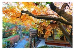 地域文化の振興