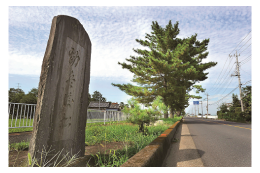 ■テーマ3　文化・伝統・歴史を守るための事業