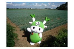 ふっかちゃんを応援～深谷市の魅力発信！