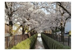 5. 快適に過ごせる生活基盤が整備されたまちの実現に向けた施策