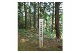 11. 緑の基金