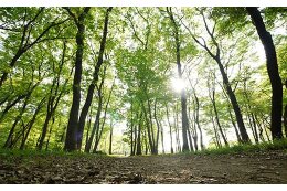 3.公園・緑化に関する事業