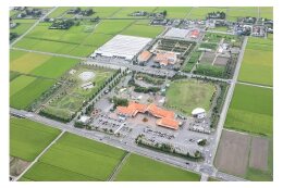 (5)事業を指定せず町政全般に活用