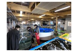 熊石地域水産試験プロジェクト