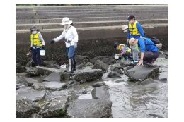 ８ 地域の環境保全対策（地域環境保全基金）