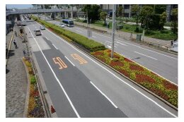 ９ 緑化推進・緑化意識普及・海辺の環境整備(緑と水辺の基金) 
