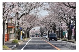 4．快適で豊かに暮らせる、人と環境にやさしいまち