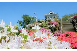 花のまちづくりに関する事業