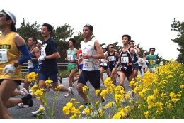 スポーツの振興に関する事業